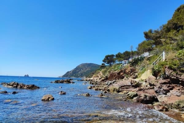 plage de fabregas la seyne sur mer